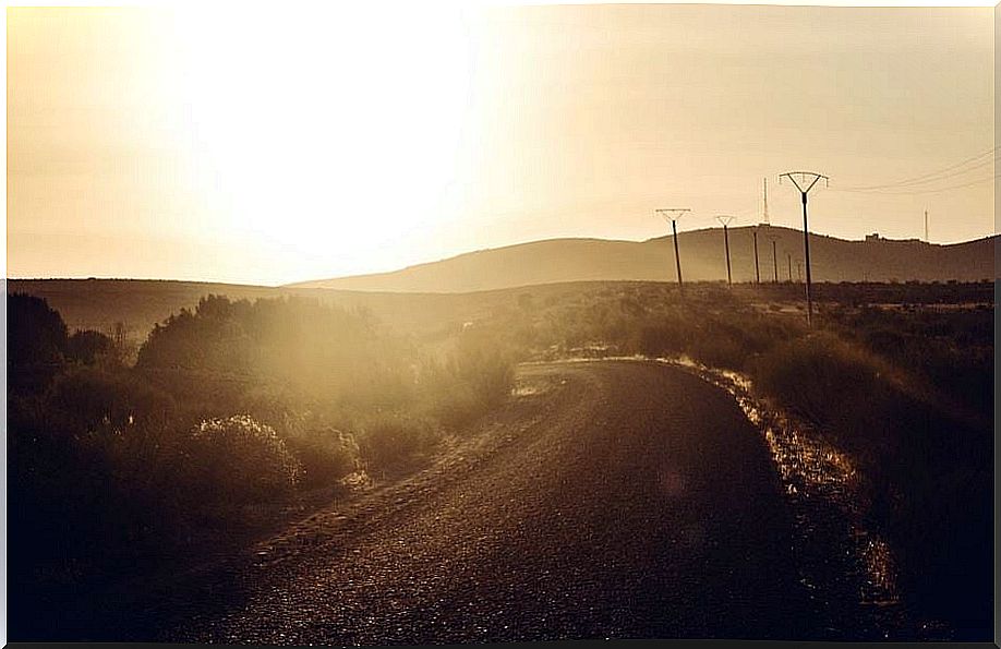 Dusk on the road causes poor visibility.