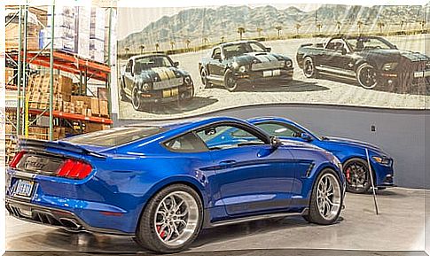 2017 Ford Mustang: rear