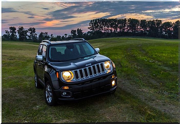 Jeep Renegade: the little brother of the range