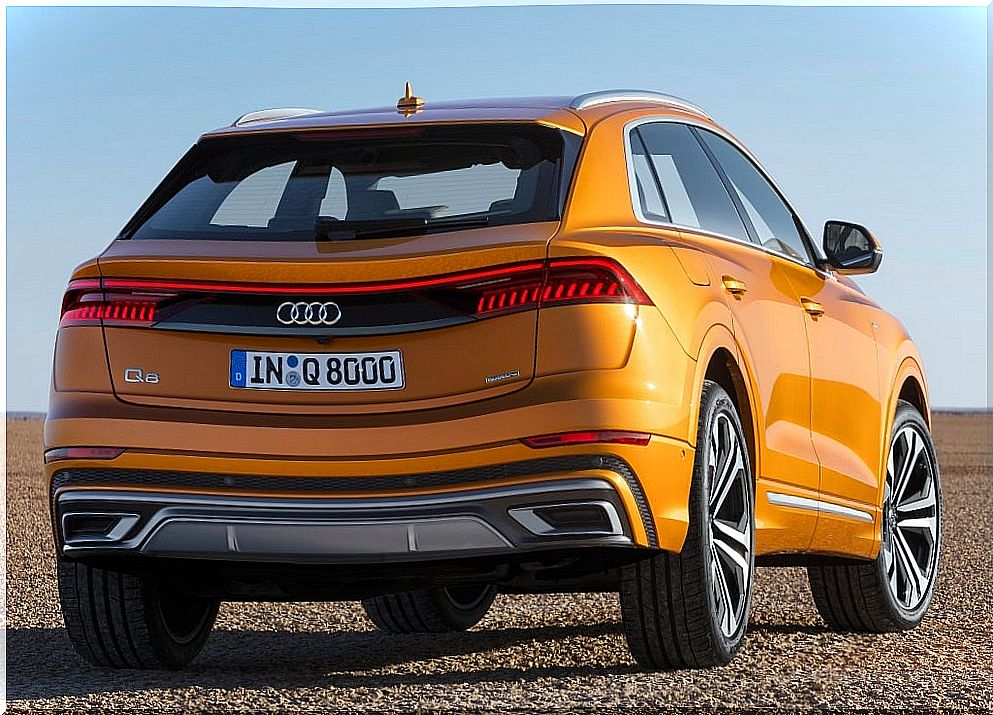 Audi Q8: rear