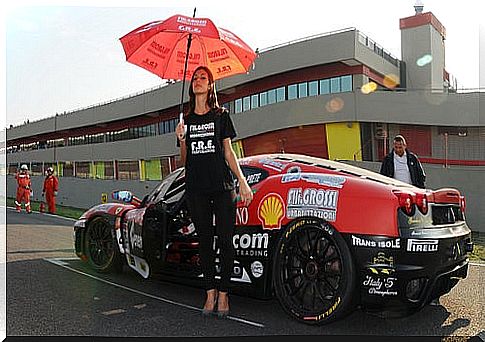 Pit babes in cars