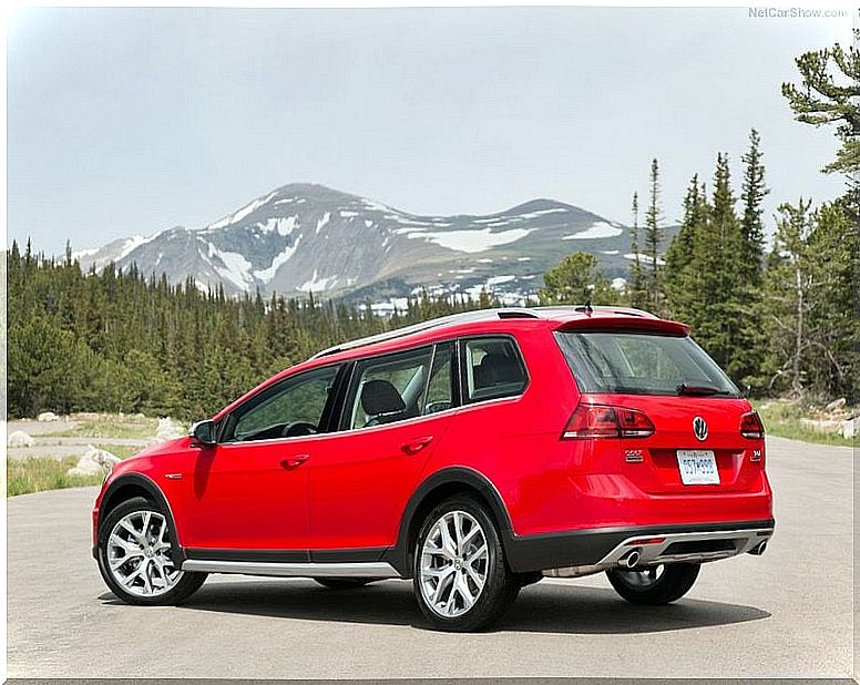 Volkswagen Golf Alltrack: rear