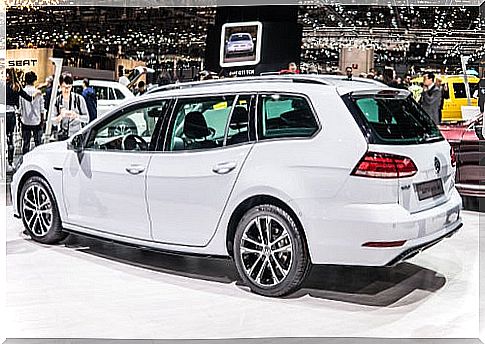 Volkswagen Golf Variant: rear