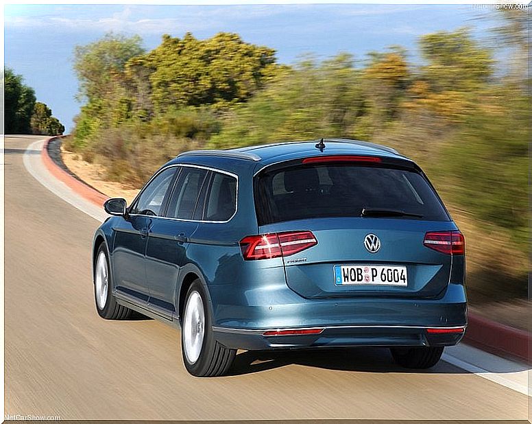 Volkswagen Passat Variant: rear